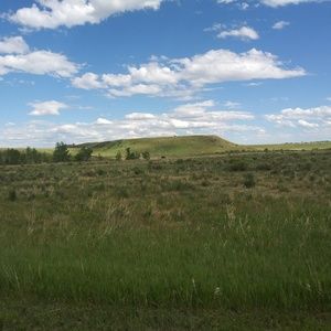 Meet your Posher, Kassandra